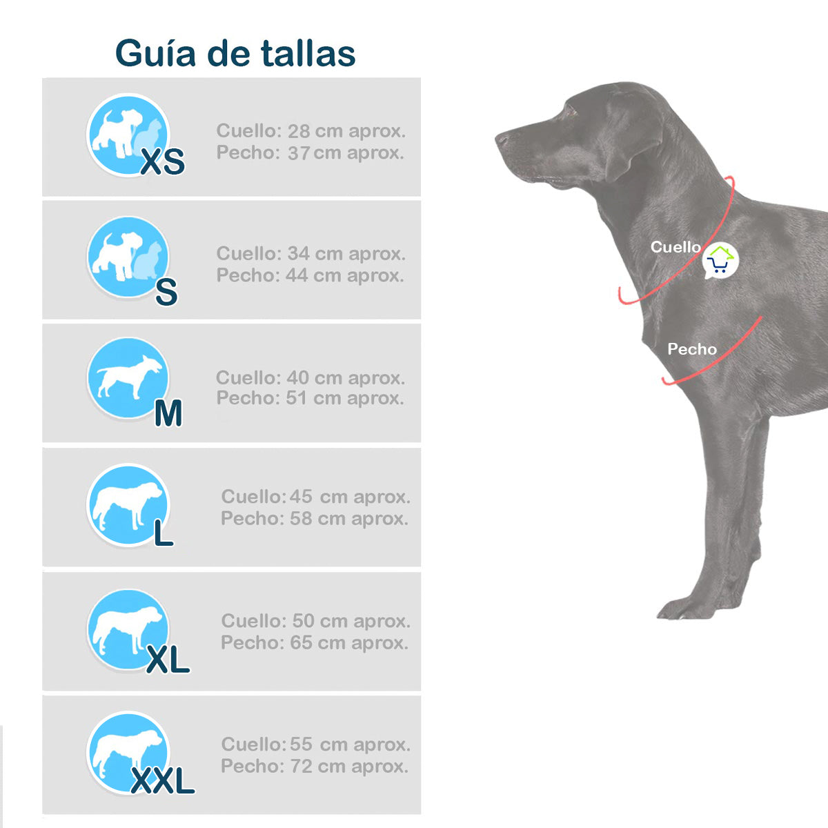 👑🐾 Disfraz de Alicia en el País de las Maravillas para Mascotas 🎃✨