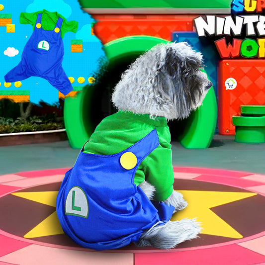 🟢✨ Disfraz de Luigi para Mascotas 🐾