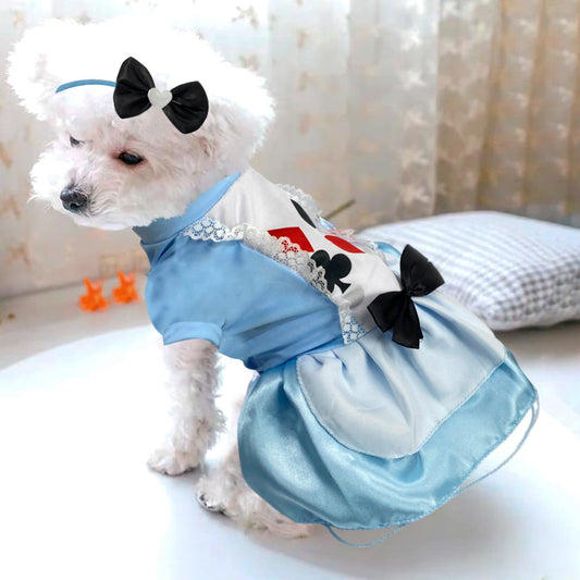 👑🐾 Disfraz de Alicia en el País de las Maravillas para Mascotas 🎃✨