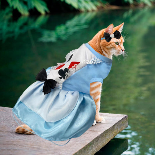 👑🐾 Disfraz de Alicia en el País de las Maravillas para Mascotas 🎃✨